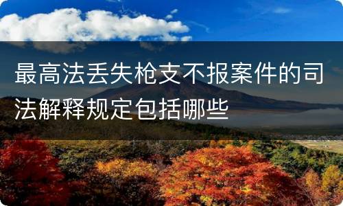 最高法丢失枪支不报案件的司法解释规定包括哪些