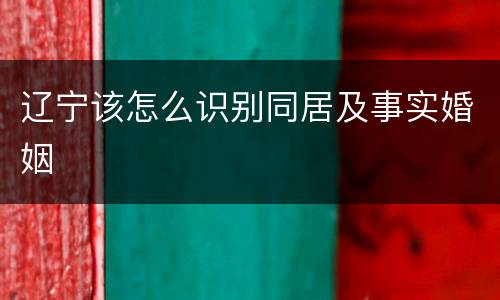 辽宁该怎么识别同居及事实婚姻
