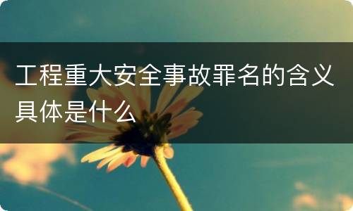 工程重大安全事故罪名的含义具体是什么