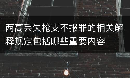 两高丢失枪支不报罪的相关解释规定包括哪些重要内容