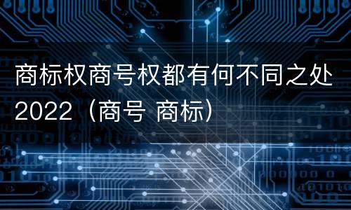 商标权商号权都有何不同之处2022（商号 商标）
