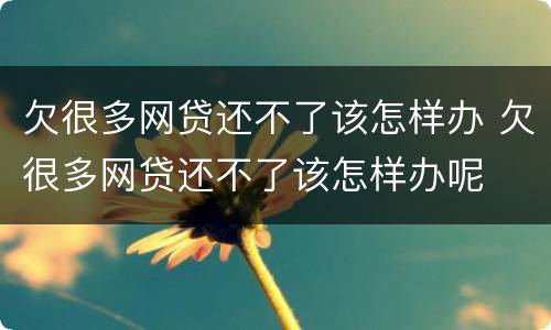 欠很多网贷还不了该怎样办 欠很多网贷还不了该怎样办呢