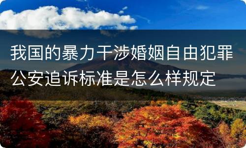 我国的暴力干涉婚姻自由犯罪公安追诉标准是怎么样规定