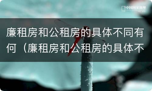 廉租房和公租房的具体不同有何（廉租房和公租房的具体不同有何影响）