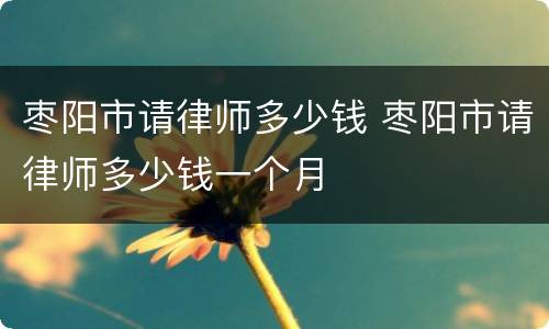 枣阳市请律师多少钱 枣阳市请律师多少钱一个月