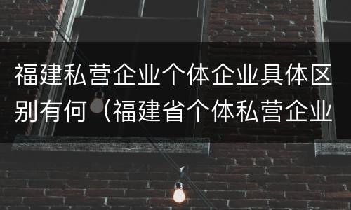 福建私营企业个体企业具体区别有何（福建省个体私营企业协会）