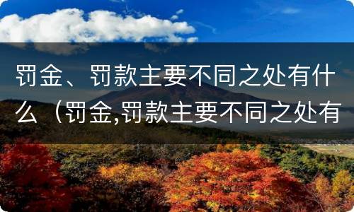 罚金、罚款主要不同之处有什么（罚金,罚款主要不同之处有什么特点）
