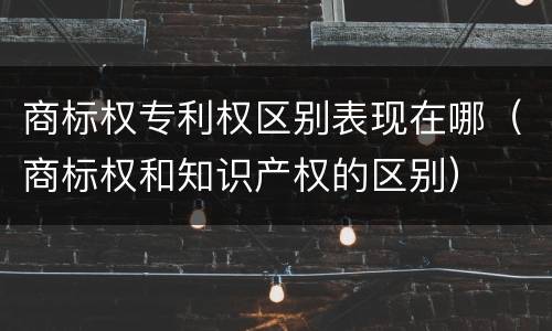 商标权专利权区别表现在哪（商标权和知识产权的区别）