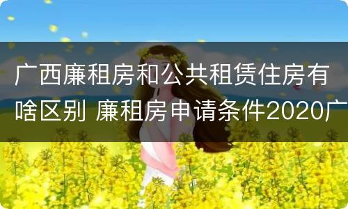 广西廉租房和公共租赁住房有啥区别 廉租房申请条件2020广西