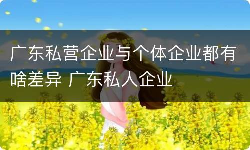 广东私营企业与个体企业都有啥差异 广东私人企业