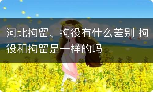 河北拘留、拘役有什么差别 拘役和拘留是一样的吗