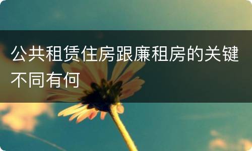 公共租赁住房跟廉租房的关键不同有何