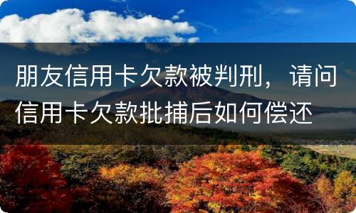 朋友信用卡欠款被判刑，请问信用卡欠款批捕后如何偿还