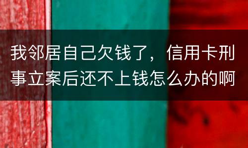 我邻居自己欠钱了，信用卡刑事立案后还不上钱怎么办的啊
