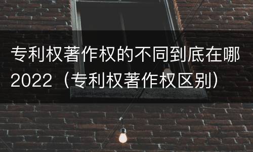 专利权著作权的不同到底在哪2022（专利权著作权区别）
