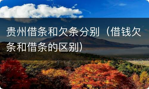 贵州借条和欠条分别（借钱欠条和借条的区别）