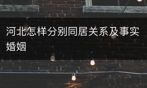 河北怎样分别同居关系及事实婚姻