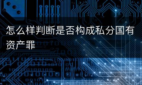 怎么样判断是否构成私分国有资产罪