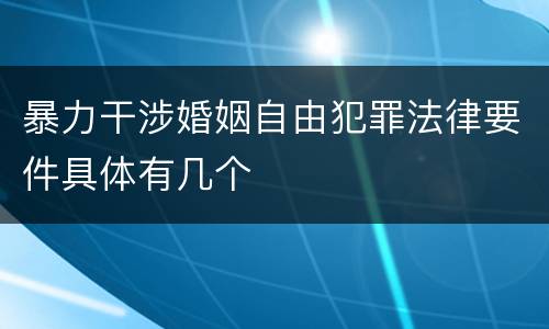 暴力干涉婚姻自由犯罪法律要件具体有几个