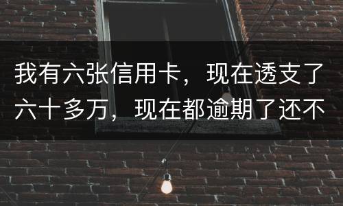 我有六张信用卡，现在透支了六十多万，现在都逾期了还不上，我算不算诈骗