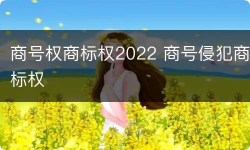 商号权商标权2022 商号侵犯商标权