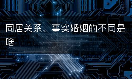 同居关系、事实婚姻的不同是啥