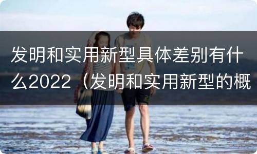 发明和实用新型具体差别有什么2022（发明和实用新型的概念）