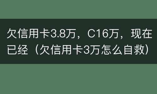 欠信用卡3.8万，C16万，现在已经（欠信用卡3万怎么自救）