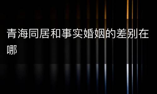 青海同居和事实婚姻的差别在哪