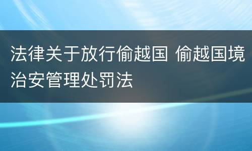 法律关于放行偷越国 偷越国境治安管理处罚法