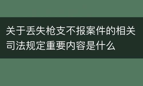 关于丢失枪支不报案件的相关司法规定重要内容是什么