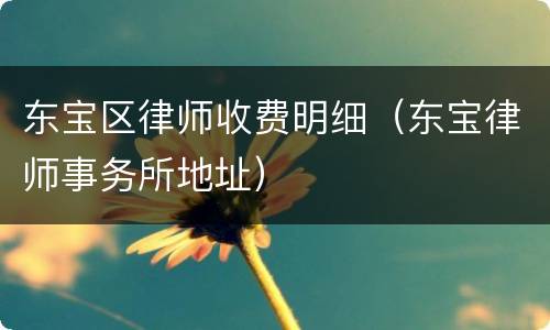 东宝区律师收费明细（东宝律师事务所地址）