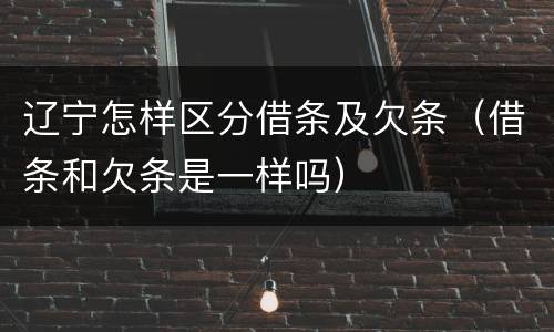 辽宁怎样区分借条及欠条（借条和欠条是一样吗）