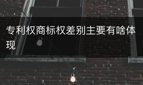 专利权商标权差别主要有啥体现