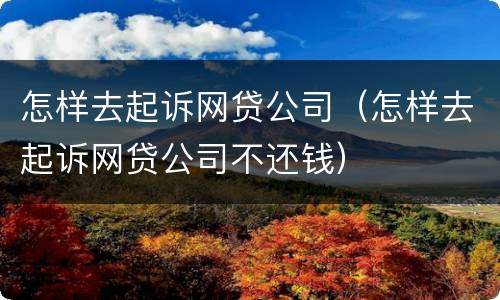 怎样去起诉网贷公司（怎样去起诉网贷公司不还钱）