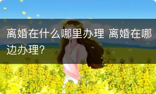 离婚在什么哪里办理 离婚在哪边办理?