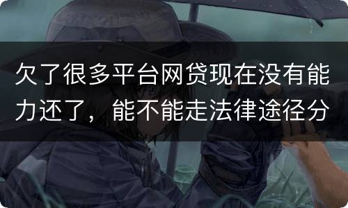 欠了很多平台网贷现在没有能力还了，能不能走法律途径分期