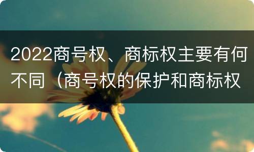 2022商号权、商标权主要有何不同（商号权的保护和商标权的保护一样是全国性范围的）