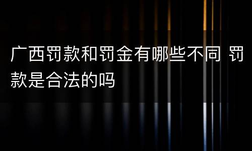 广西罚款和罚金有哪些不同 罚款是合法的吗