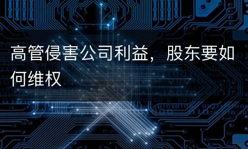 高管侵害公司利益，股东要如何维权