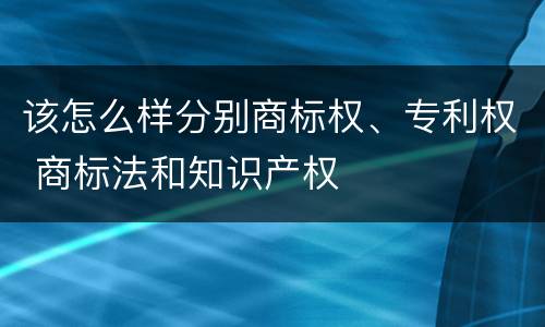 该怎么样分别商标权、专利权 商标法和知识产权