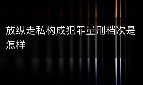 放纵走私构成犯罪量刑档次是怎样