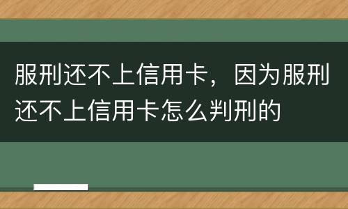 服刑还不上信用卡，因为服刑还不上信用卡怎么判刑的