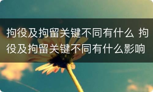 拘役及拘留关键不同有什么 拘役及拘留关键不同有什么影响