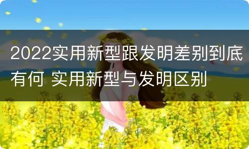 2022实用新型跟发明差别到底有何 实用新型与发明区别