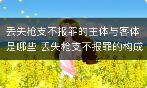 丢失枪支不报罪的主体与客体是哪些 丢失枪支不报罪的构成要件