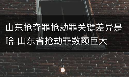 山东抢夺罪抢劫罪关键差异是啥 山东省抢劫罪数额巨大