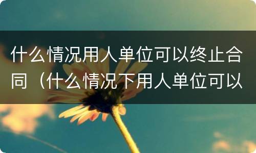 什么情况用人单位可以终止合同（什么情况下用人单位可以终止劳动合同）