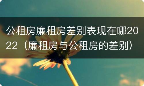 公租房廉租房差别表现在哪2022（廉租房与公租房的差别）