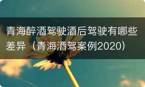 青海醉酒驾驶酒后驾驶有哪些差异（青海酒驾案例2020）